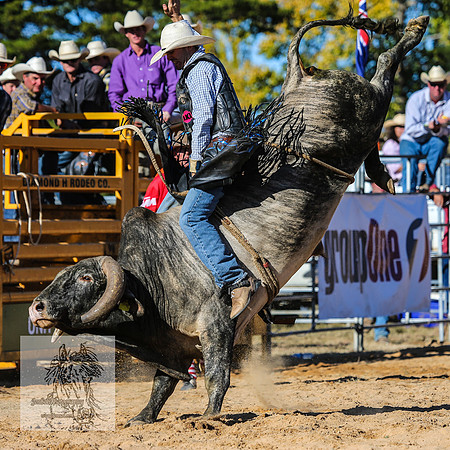 BraidwoodRodeo2015_3997