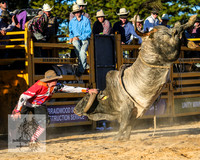 BraidwoodRodeo2015_5015