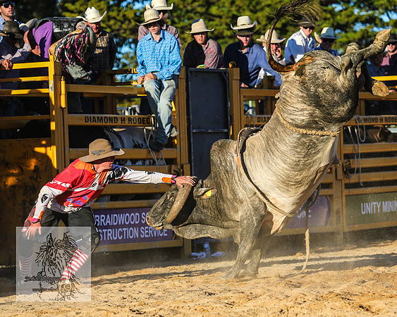 BraidwoodRodeo2015_5015
