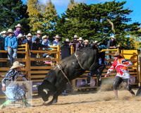 BraidwoodRodeo2015_3803