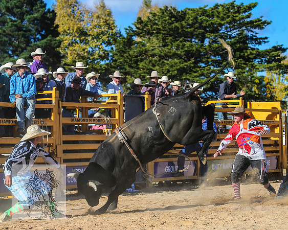 BraidwoodRodeo2015_3803