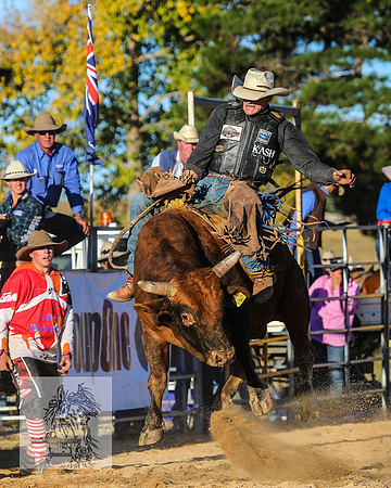 BraidwoodRodeo2015_4901