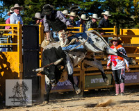 BraidwoodRodeo2015_3657
