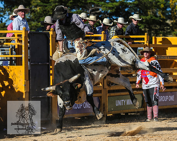 BraidwoodRodeo2015_3657