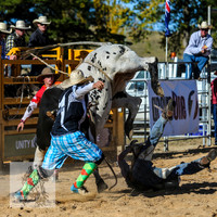 BraidwoodRodeo2015_3695