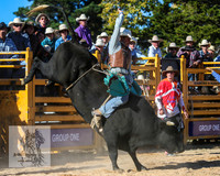 BraidwoodRodeo2015_3777