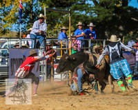 BraidwoodRodeo2015_3954