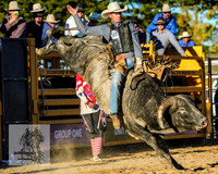BraidwoodRodeo2015_4980