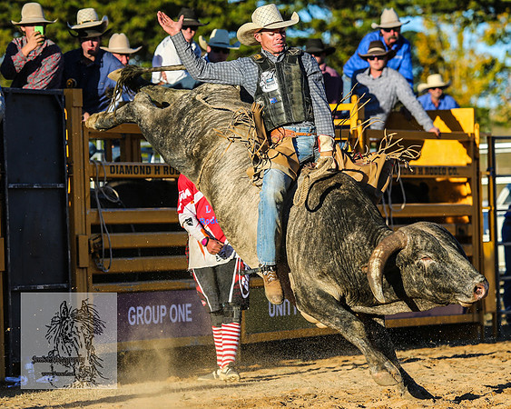 BraidwoodRodeo2015_4980
