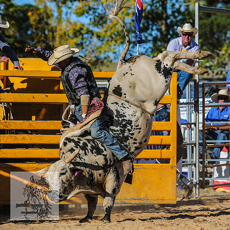 BraidwoodRodeo2015_3808