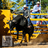 BraidwoodRodeo2015_3844
