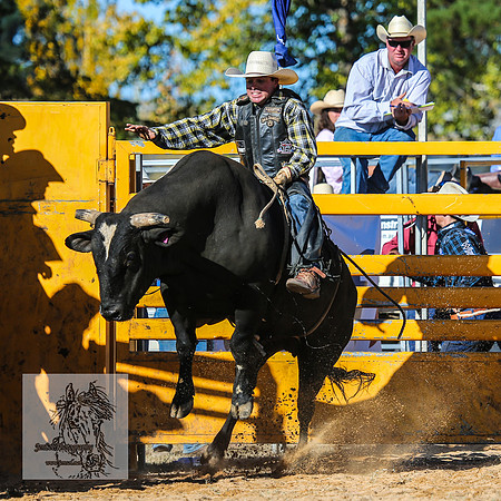 BraidwoodRodeo2015_3844