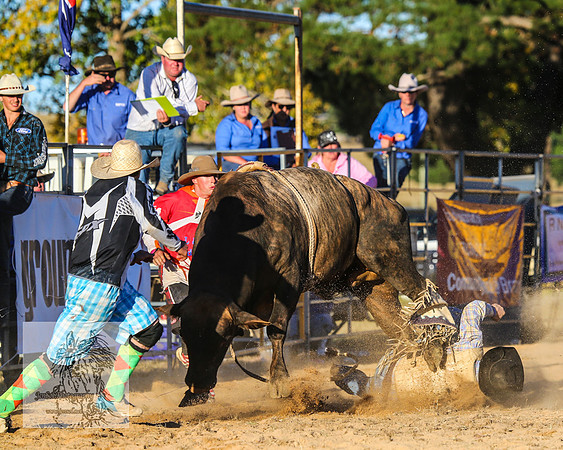 BraidwoodRodeo2015_5080