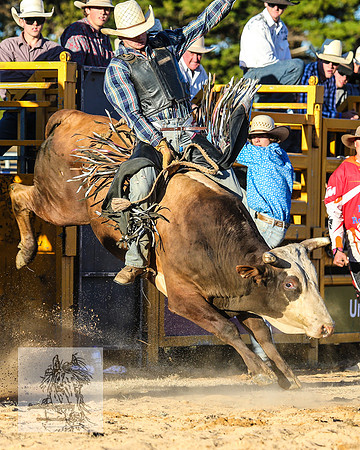 BraidwoodRodeo2015_4915