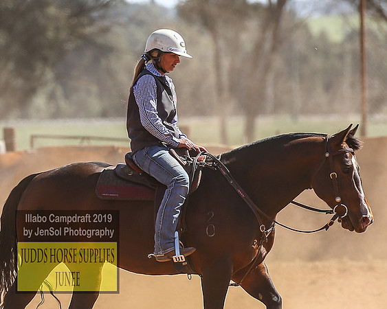 IllaboCampdraft2_3961