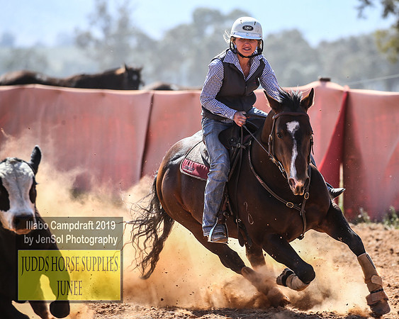 IllaboCampdraft2_3894