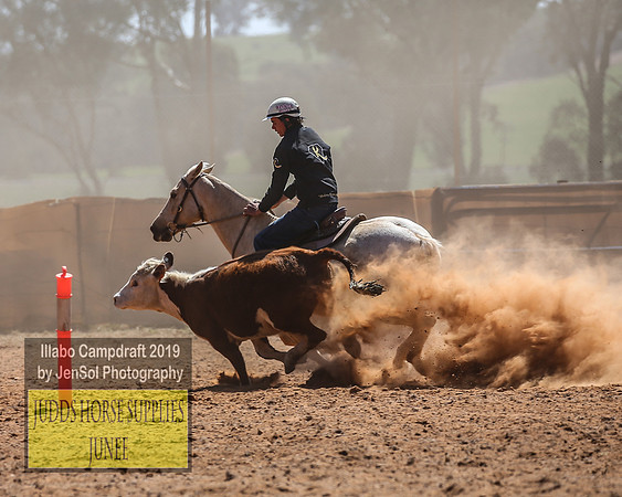 IllaboCampdraft2_4520