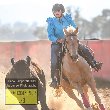 IllaboCampdraft2_3548