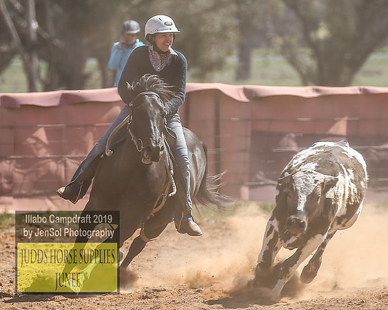 IllaboCampdraft2_4305