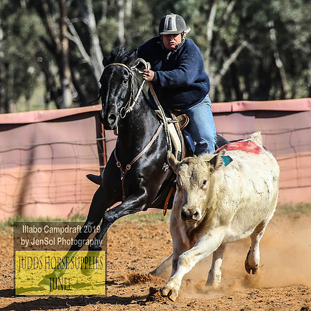 IllaboCampdraft2_3646