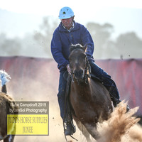 IllaboCampdraft2_3125