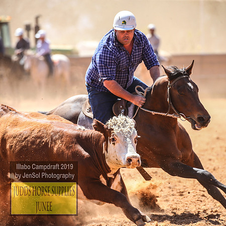 IllaboCampdraft2_4619