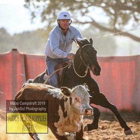 IllaboCampdraft2_3577