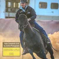 IllaboCampdraft2_3116