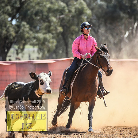 IllaboCampdraft2_4651