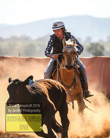 IllaboCampdraft2_3682
