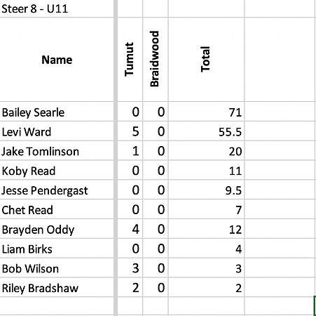 Steer8_U11