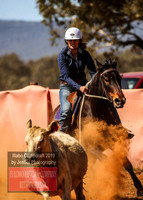 IllaboCampdraft2_5114