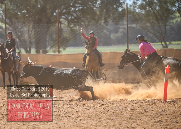 IllaboCampdraft2_5146