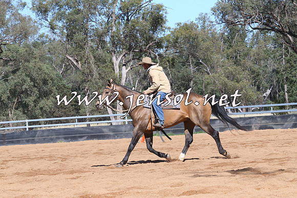 TubbulCampdraft2014_3298