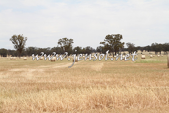 TubbulCampdraft2014_3338