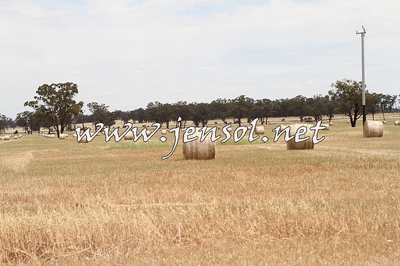 TubbulCampdraft2014_3339