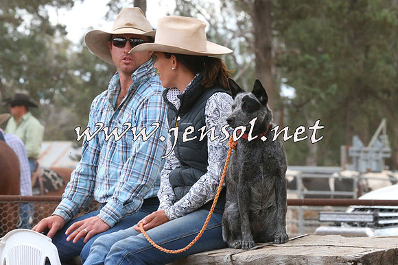 TubbulCampdraft2014_2216