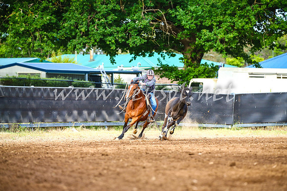 OrangeCampdraft2017_2953