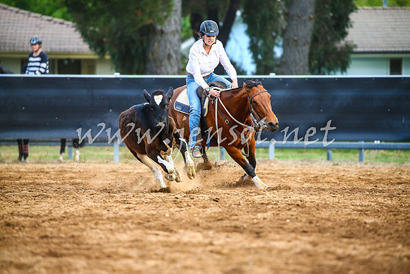 OrangeCampdraft2017_3027
