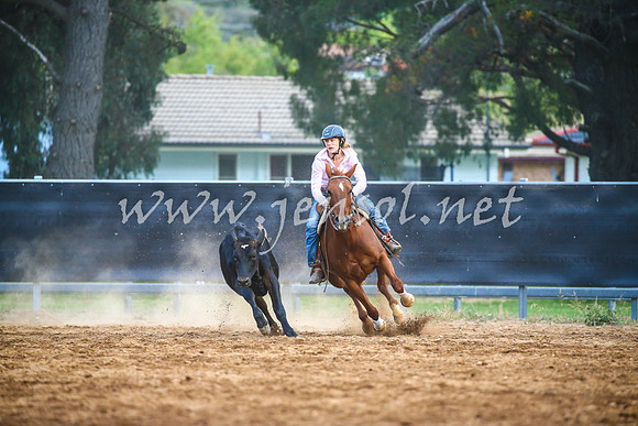 OrangeCampdraft2017_3085