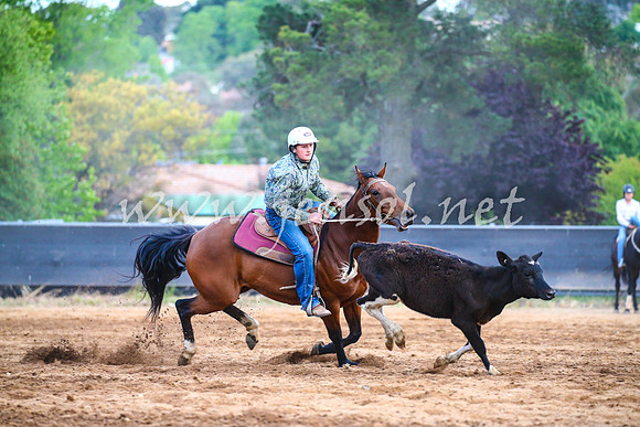 OrangeCampdraft2017_3295