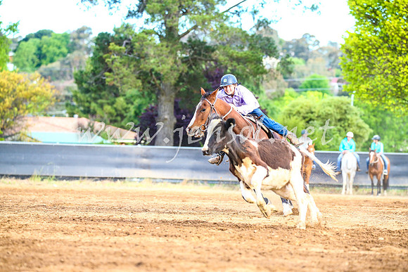 OrangeCampdraft2017_2974