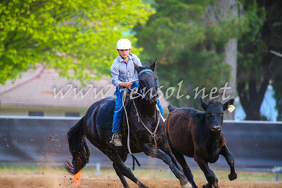 OrangeCampdraft2017_2865