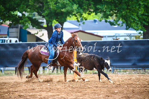OrangeCampdraft2017_3189