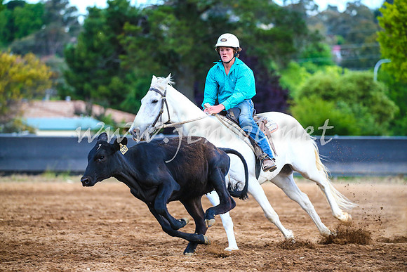 OrangeCampdraft2017_3156