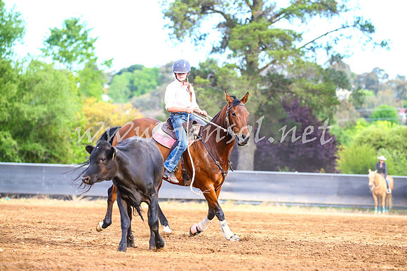 OrangeCampdraft2017_2896