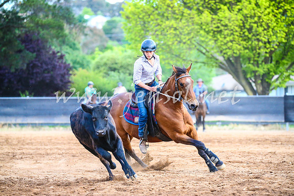 OrangeCampdraft2017_3266