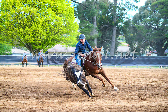 OrangeCampdraft2017_3166