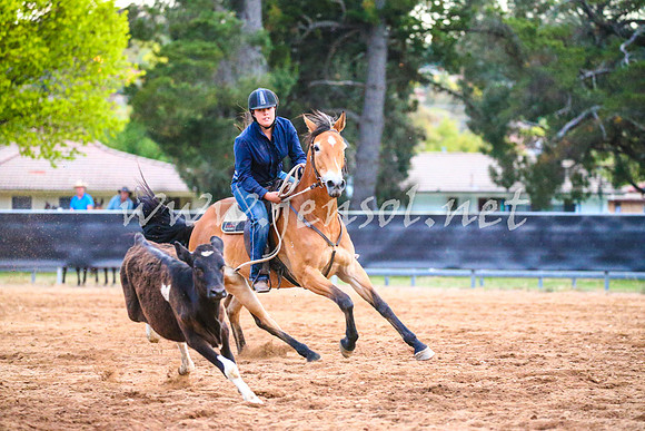 OrangeCampdraft2017_3462