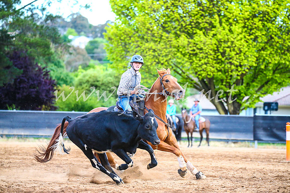 OrangeCampdraft2017_3220